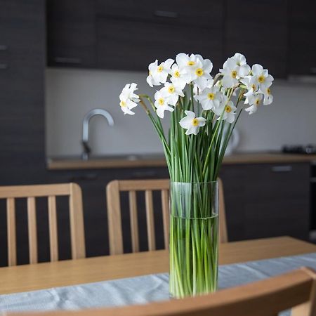 Apartman Ena Bjelovar Exteriér fotografie