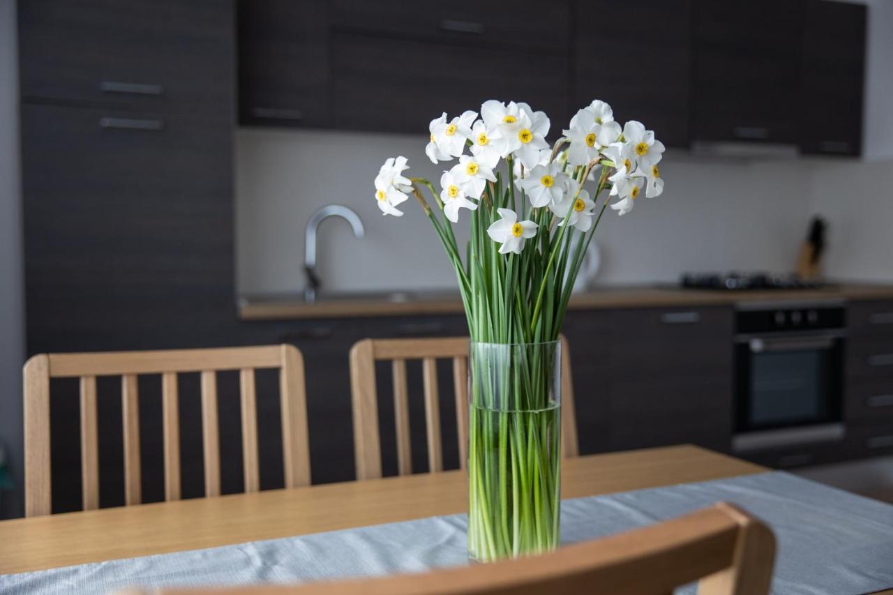 Apartman Ena Bjelovar Exteriér fotografie
