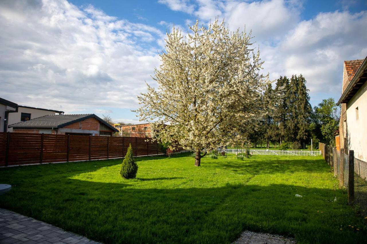 Apartman Ena Bjelovar Exteriér fotografie